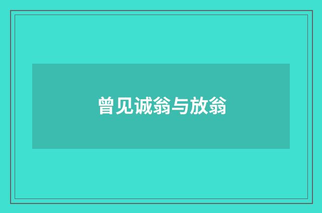 曾见诚翁与放翁