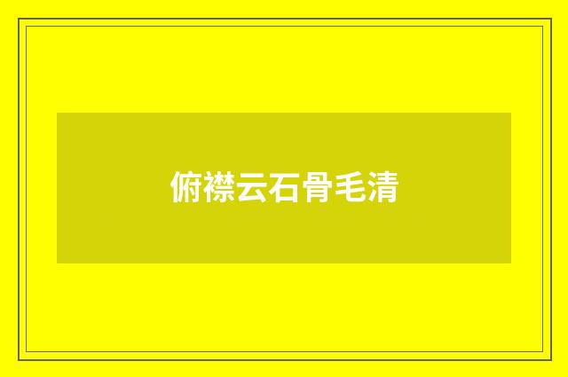 俯襟云石骨毛清