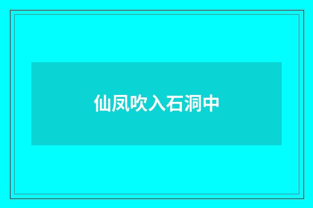 仙凤吹入石洞中