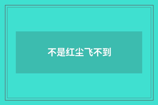 不是红尘飞不到