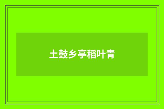 土鼓乡亭稻叶青