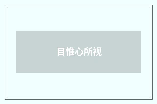 目惟心所视