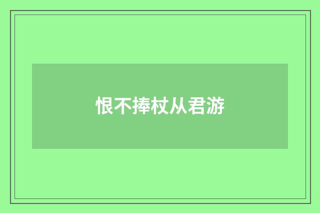 恨不捧杖从君游