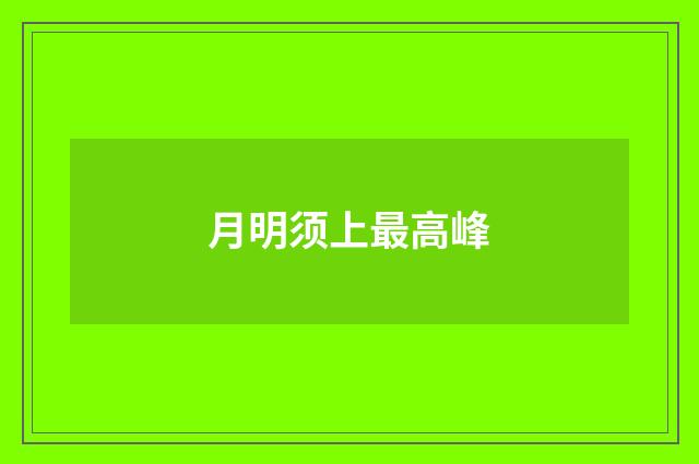 月明须上最高峰
