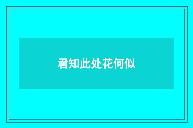 君知此处花何似