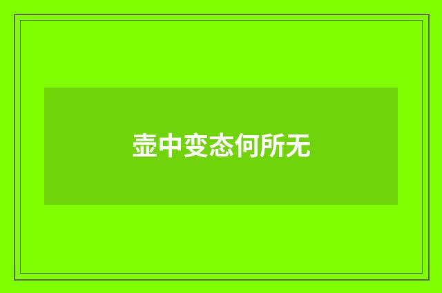 壶中变态何所无