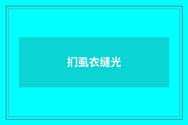 扪虱衣缝光