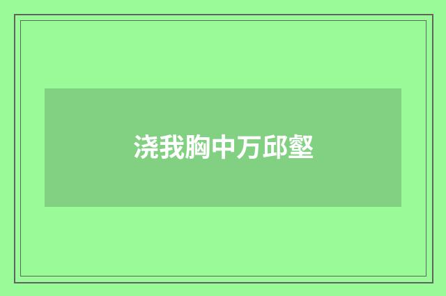 浇我胸中万邱壑