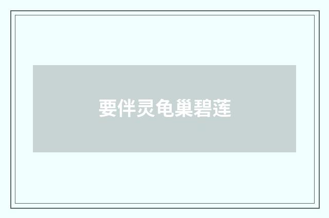 要伴灵龟巢碧莲