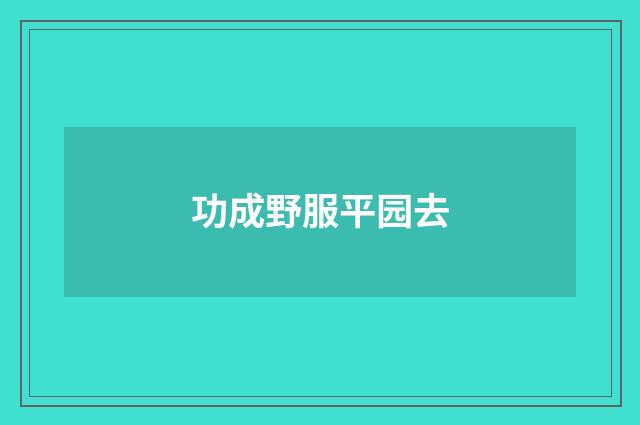 功成野服平园去