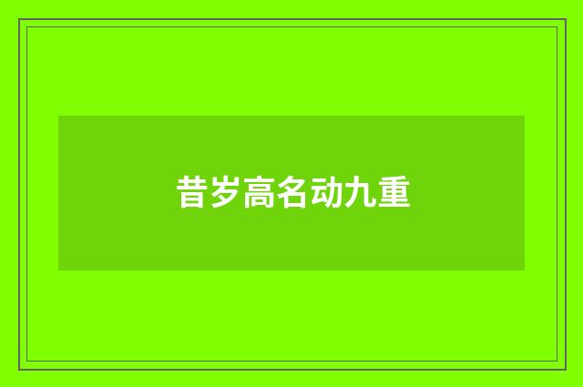 昔岁高名动九重