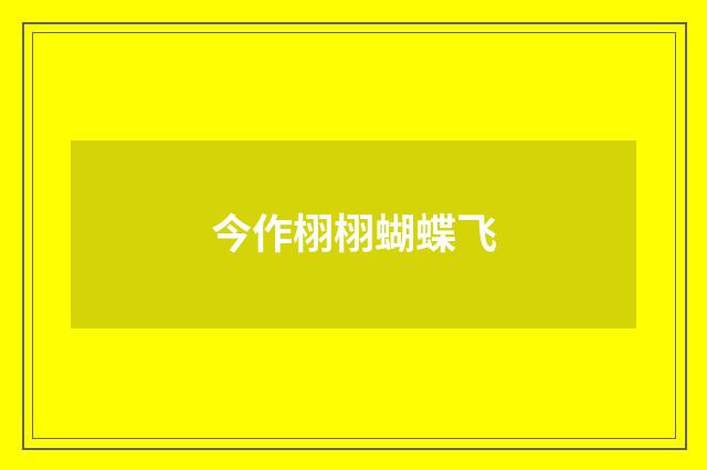 今作栩栩蝴蝶飞