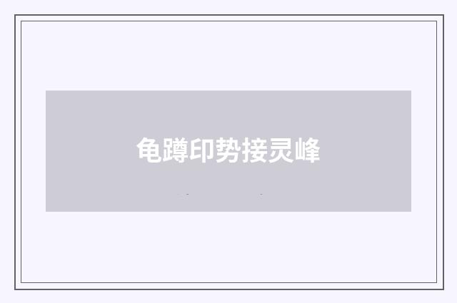 龟蹲印势接灵峰