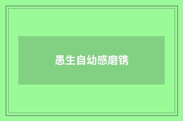 愚生自幼感磨镌