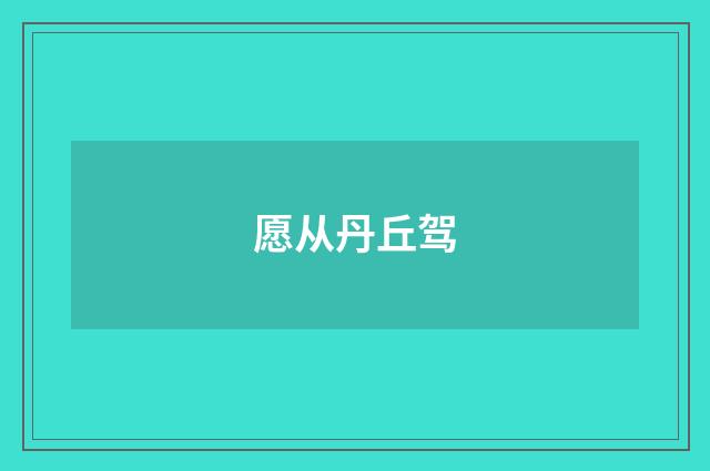 愿从丹丘驾
