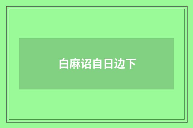 白麻诏自日边下