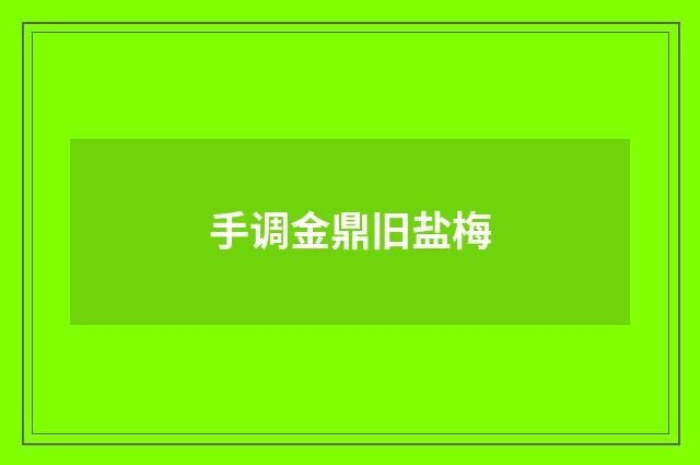 手调金鼎旧盐梅