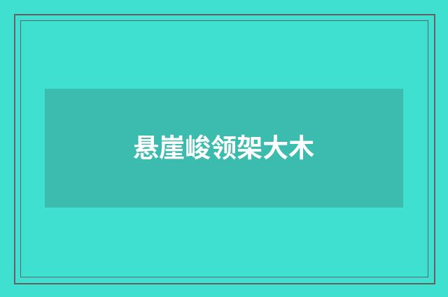 悬崖峻领架大木