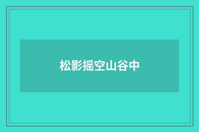 松影摇空山谷中