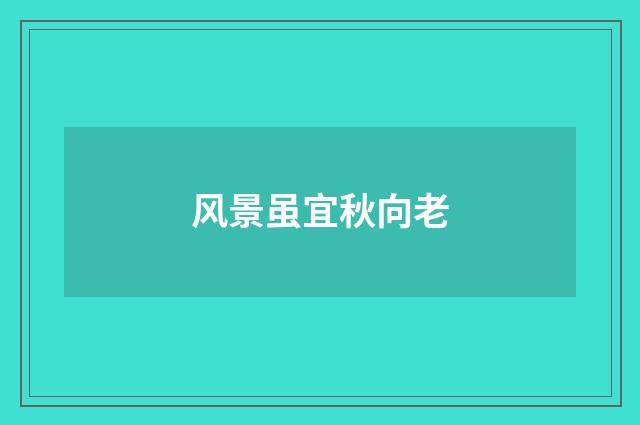 风景虽宜秋向老