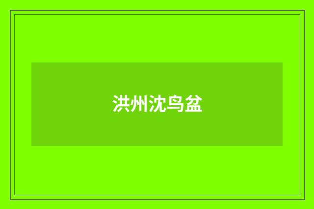 洪州沈鸟盆