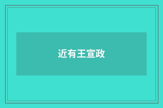 近有王宣政