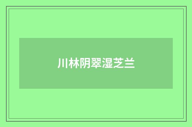 川林阴翠湿芝兰