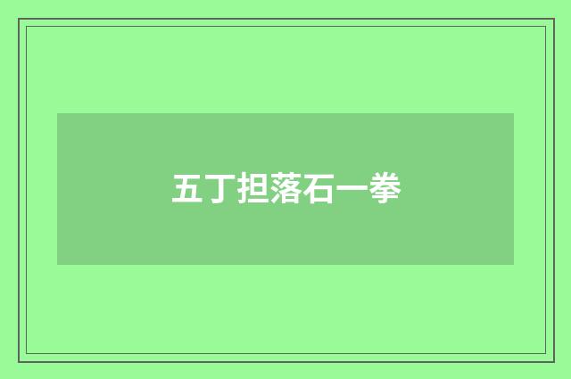 五丁担落石一拳