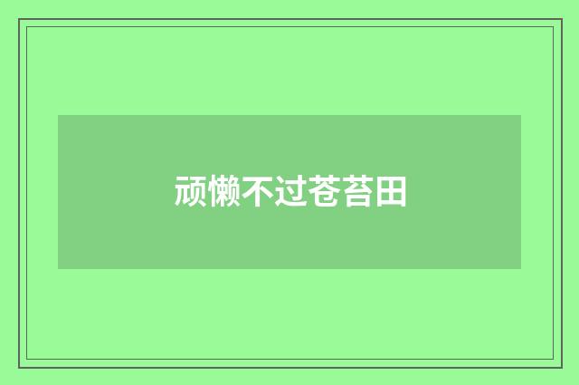 顽懒不过苍苔田