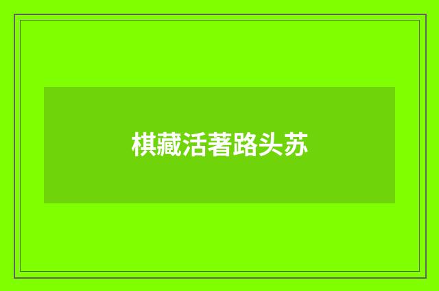 棋藏活著路头苏