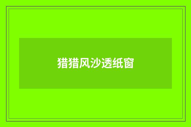 猎猎风沙透纸窗