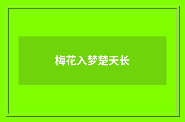 梅花入梦楚天长