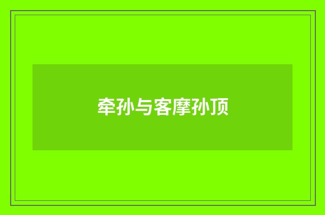牵孙与客摩孙顶