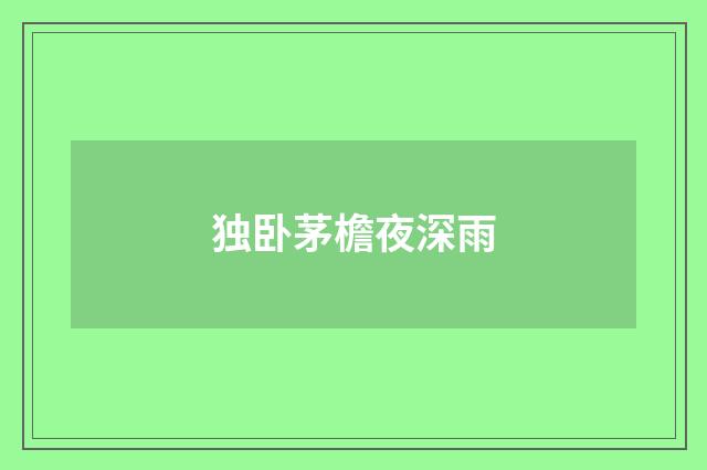 独卧茅檐夜深雨
