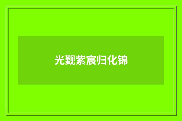 光觐紫宸归化锦