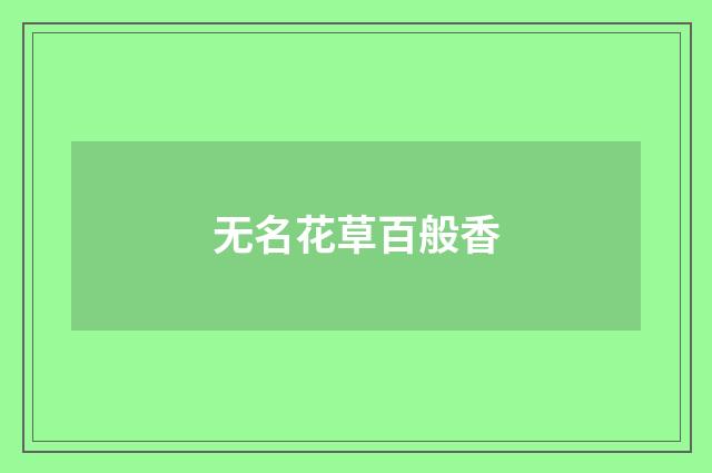 无名花草百般香