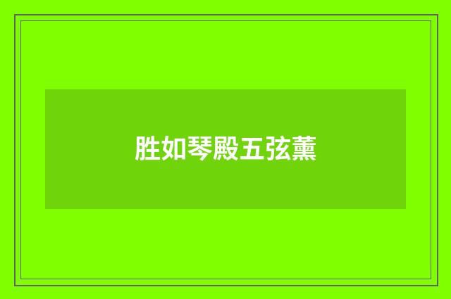 胜如琴殿五弦薰