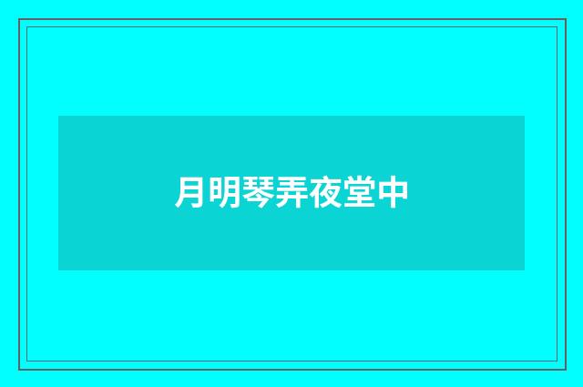月明琴弄夜堂中