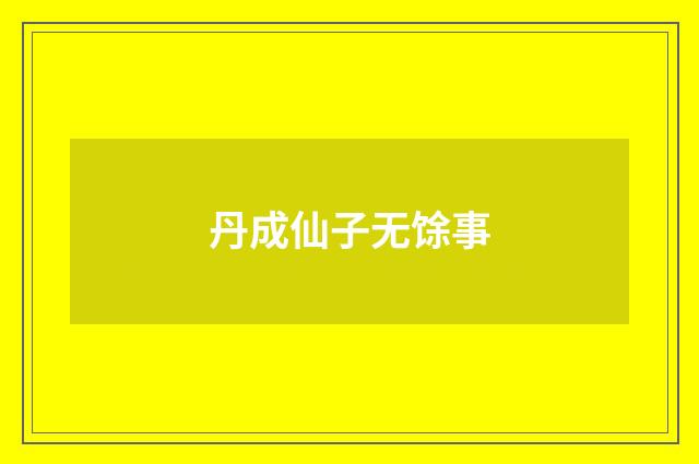丹成仙子无馀事