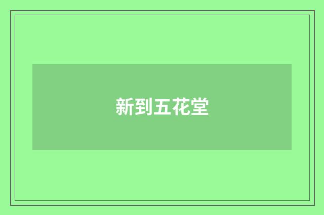 新到五花堂
