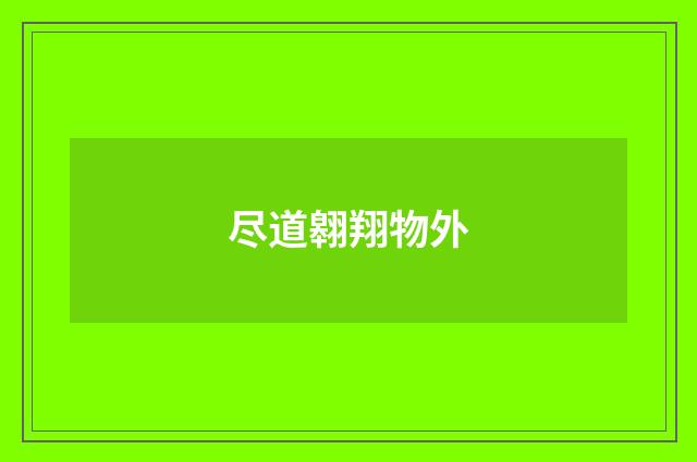尽道翱翔物外