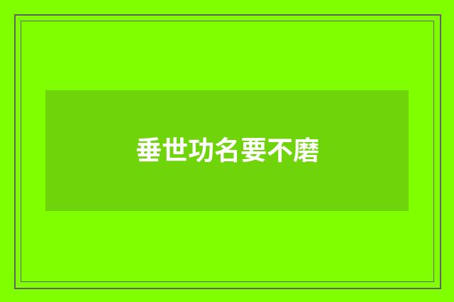 垂世功名要不磨