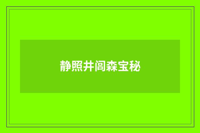 静照井闾森宝秘