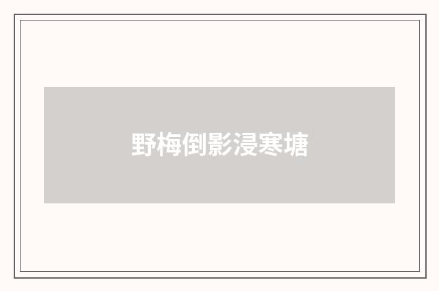 野梅倒影浸寒塘