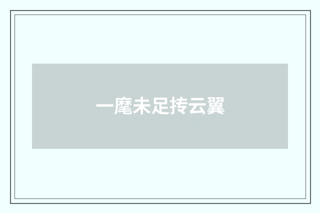 一麾未足抟云翼