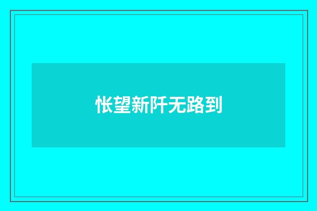 怅望新阡无路到