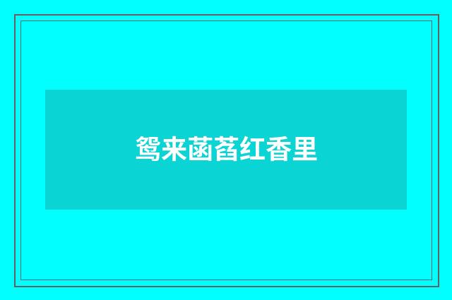 鸳来菡萏红香里