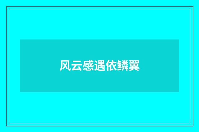 风云感遇依鳞翼