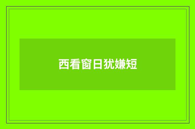 西看窗日犹嫌短