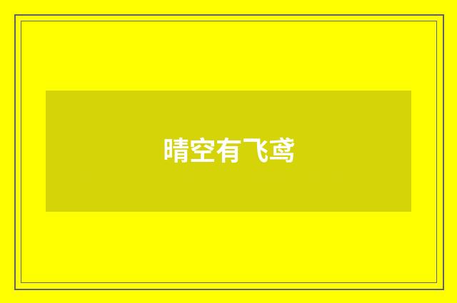 晴空有飞鸢